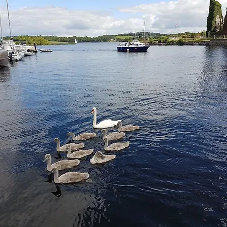 The Waterside *