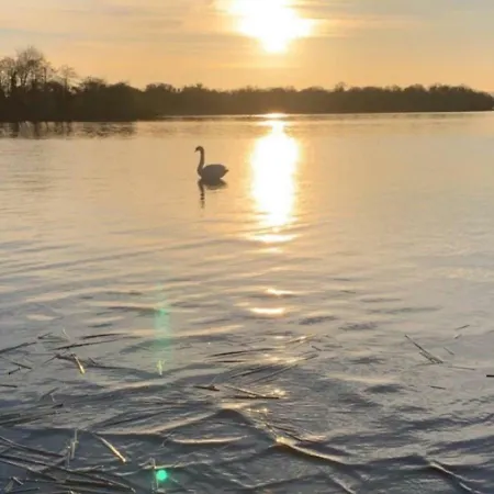The Waterside * Nenagh