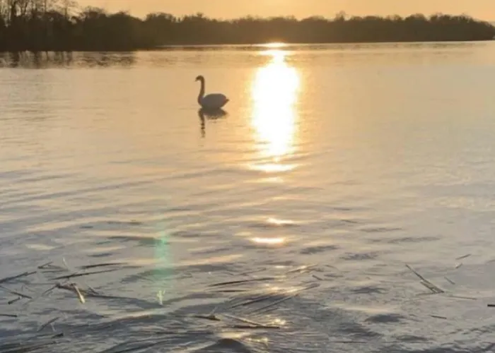 The Waterside * Nenagh